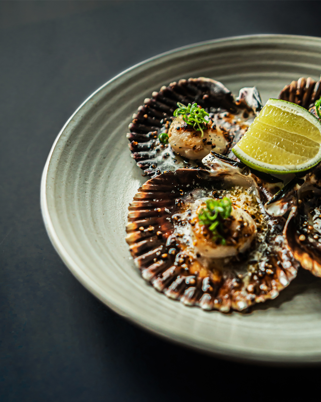 Grilled Scallop Appetizers